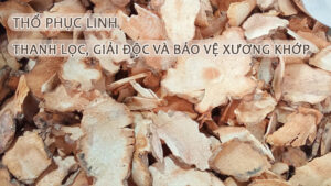 Thổ phục linh thanh lọc giải độc bảo vệ xương khớp