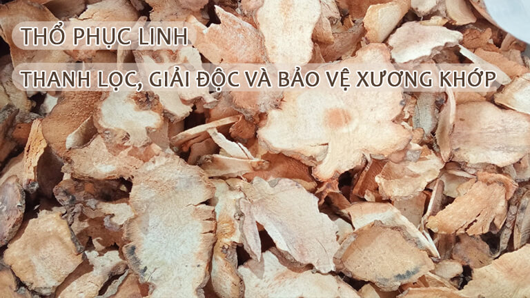Thổ phục linh thanh lọc giải độc bảo vệ xương khớp
